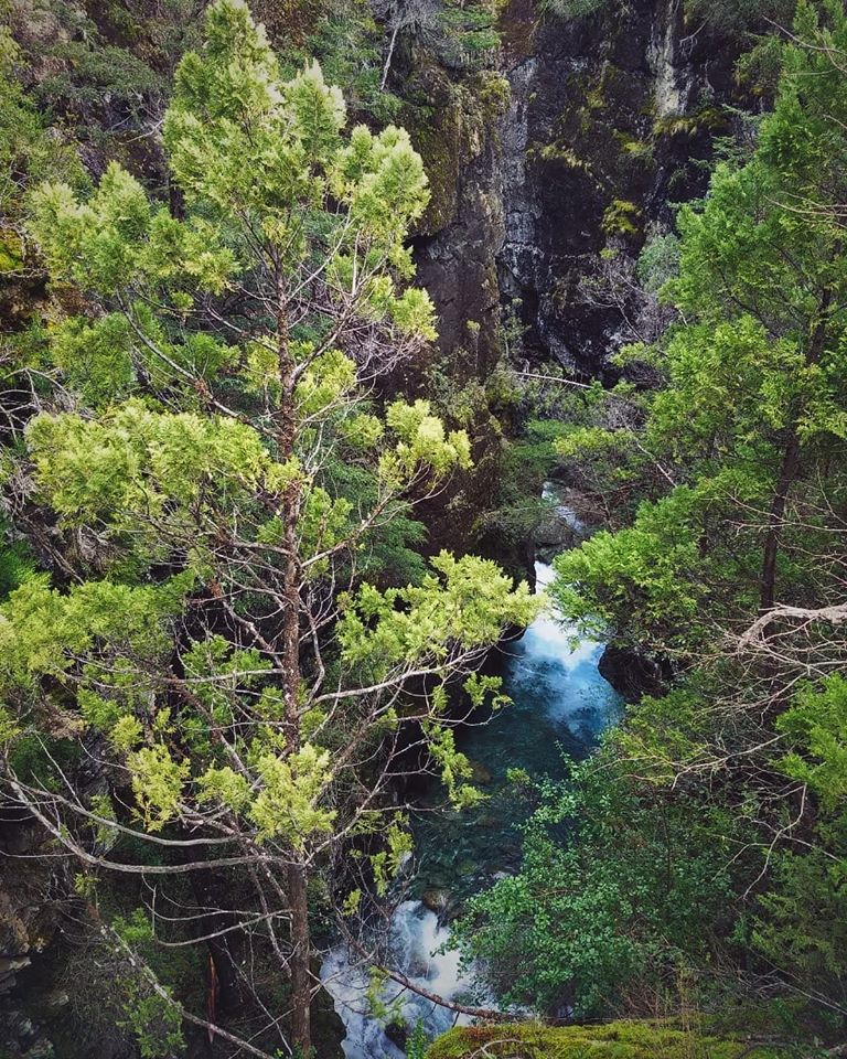 Area Natural Protegida Río Azul - Lago Escondido -ANPRALE- en El Bolsón