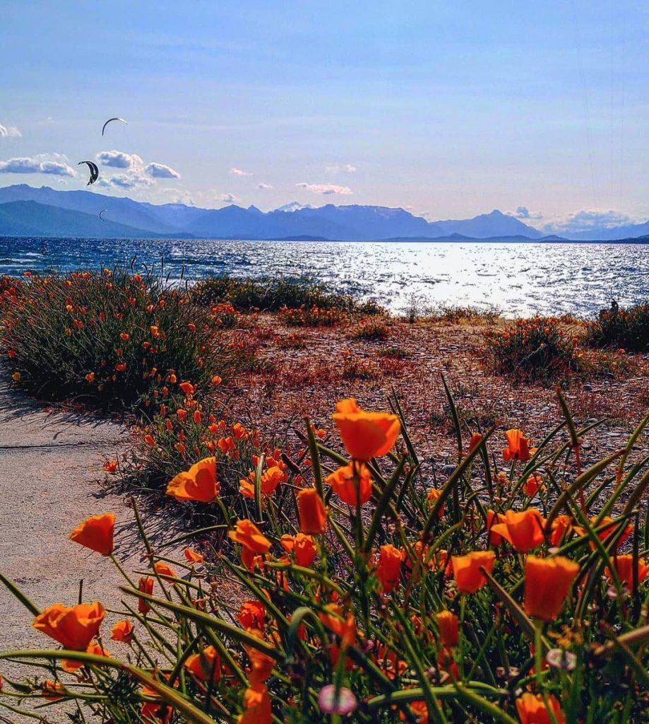 Dina Huapi, verano cordillera Río Negro