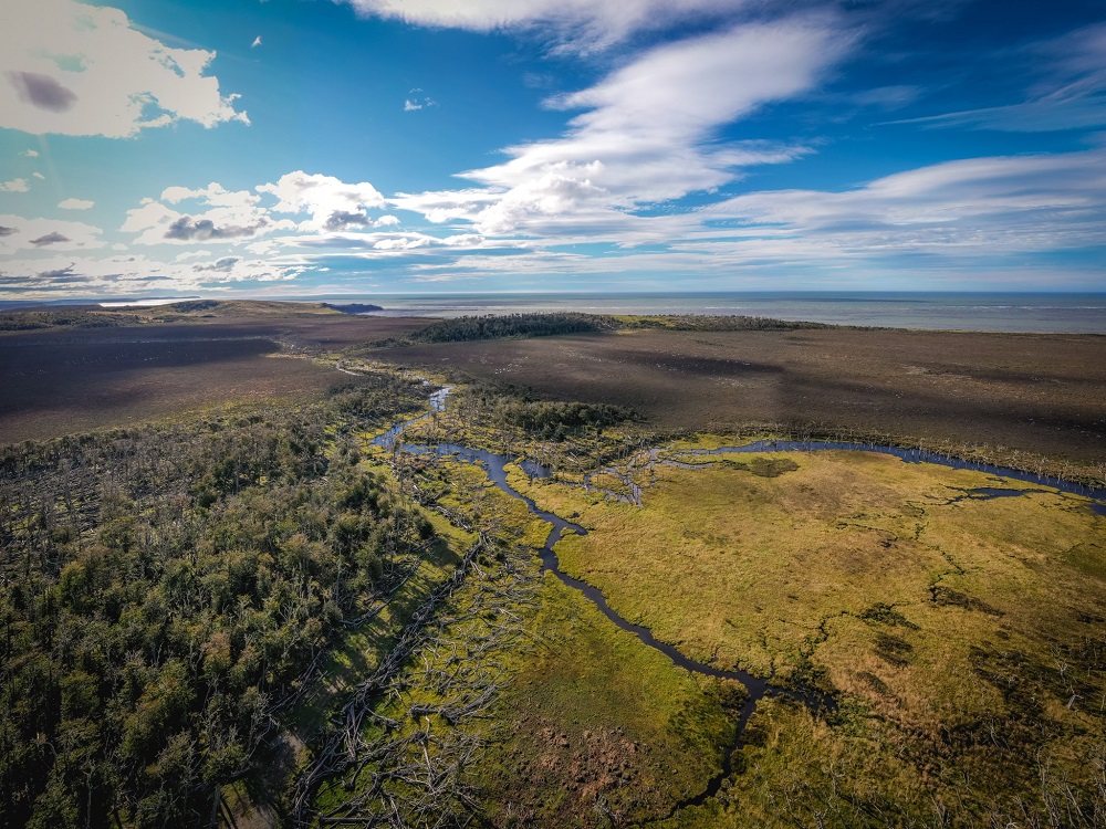 Uno de los ecosistemas más importantes de la Patagonia.