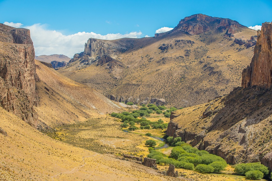 Parque Patagonia muestra sus atractivos a Latinoamérica