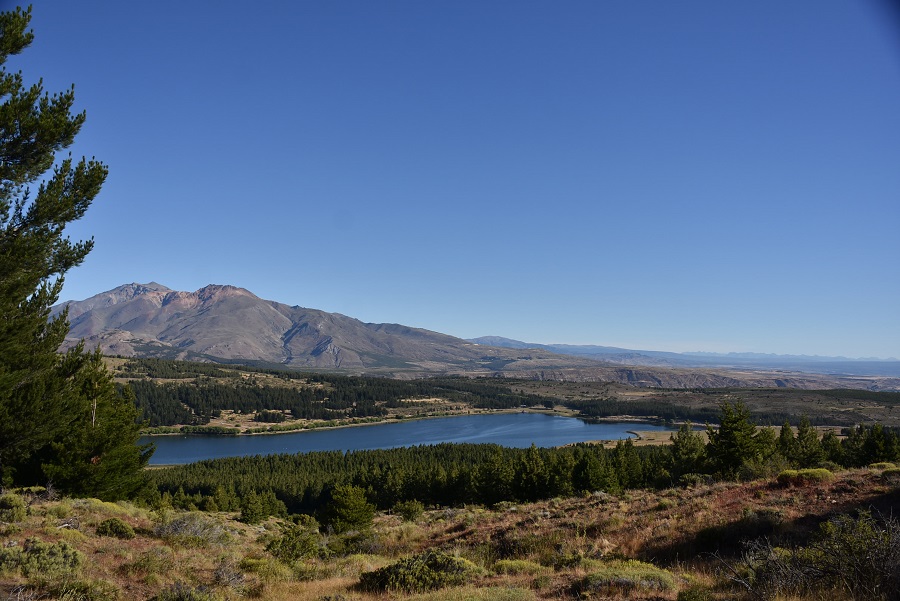 La primavera en Esquel recibe nuevos visitantes.