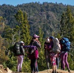 Mujeres en la Montaña