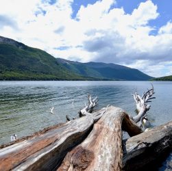 Tierra del Fuego