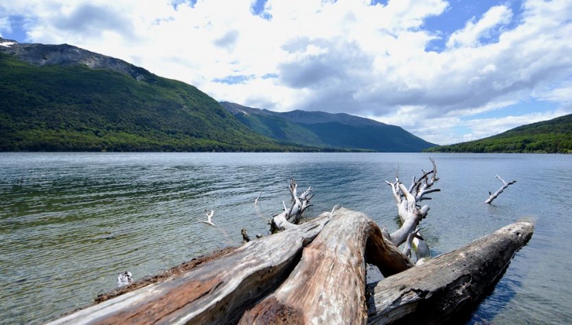 Tierra del Fuego