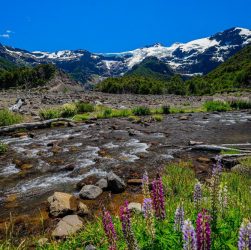 Bariloche, Verano 2021 en la Patagonia.