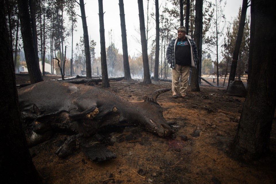 Devastadora imagen después del incendio en la Comarca Andina