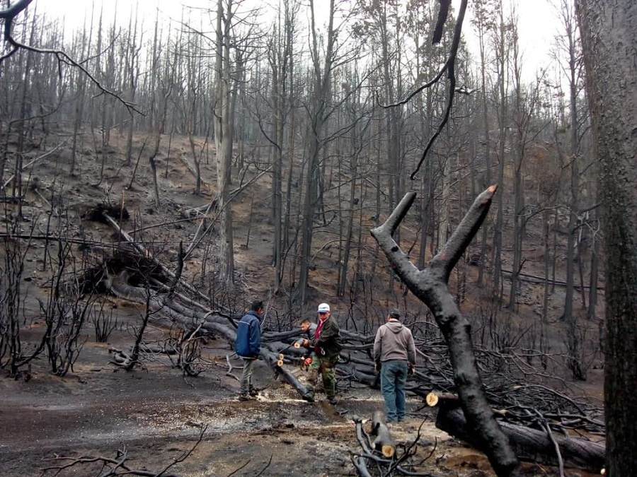 Operarios trabajando luego de los incendios.