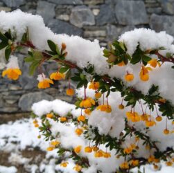 Nevó en Ushuaia y la ciudad de la Patagonia se cubrió de blanco.