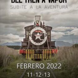 Fiesta Tren Maiten