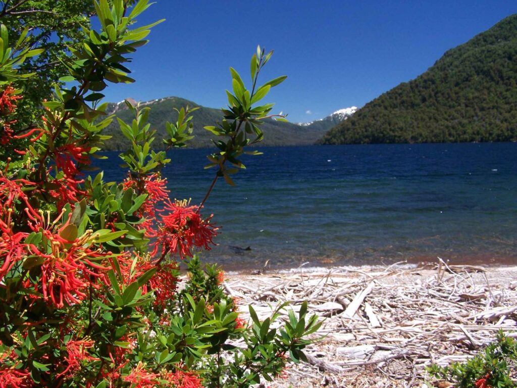 Primavera en Neuquén, Patagonia