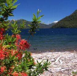 Primavera en Neuquén