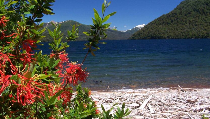 Primavera en Neuquén