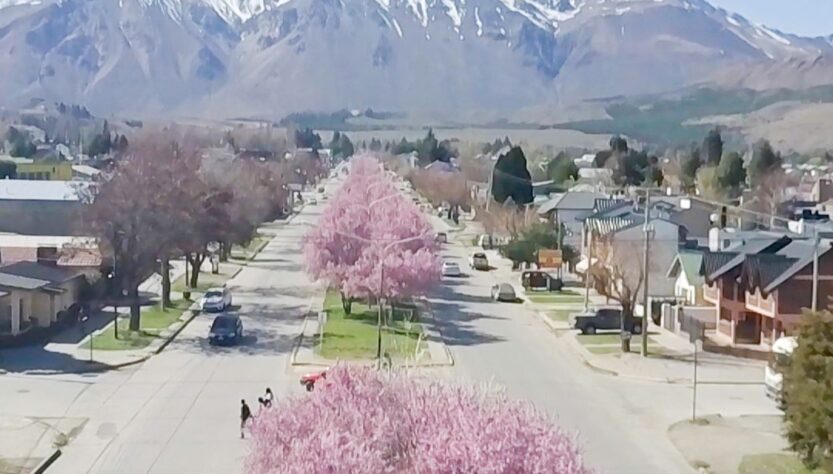 Fiesta Ciruelos en Flor en Esquel