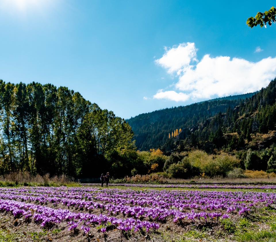 Agroturismo El Bolsón