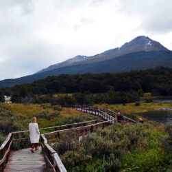 senderos Tierra del Fuego