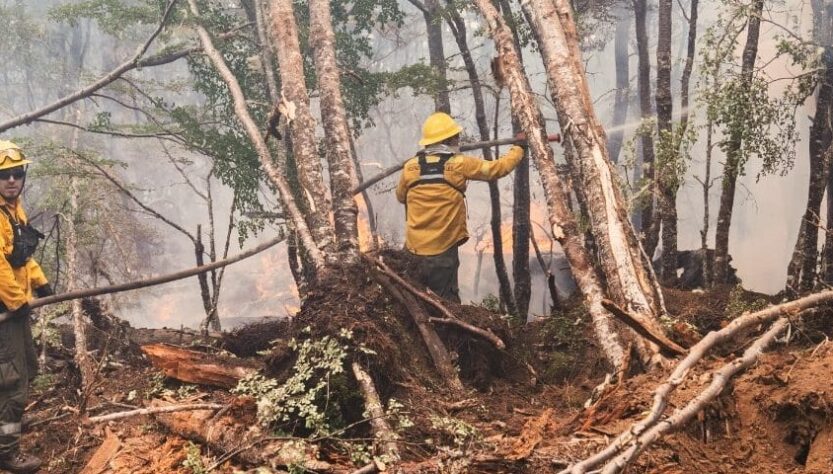 Incendio en Tolhuin