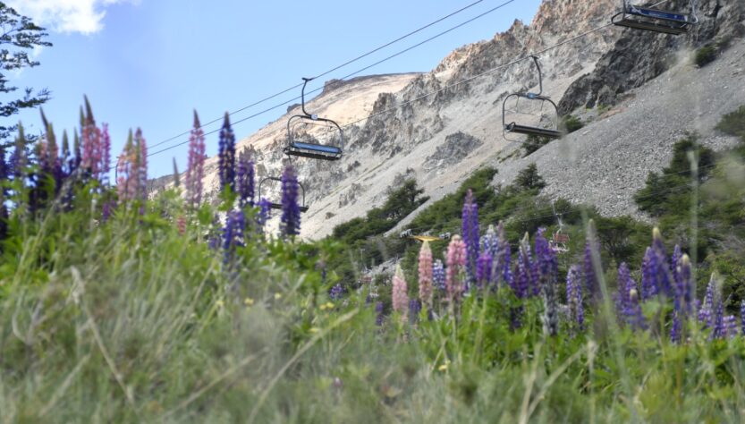 La Hoya Verano