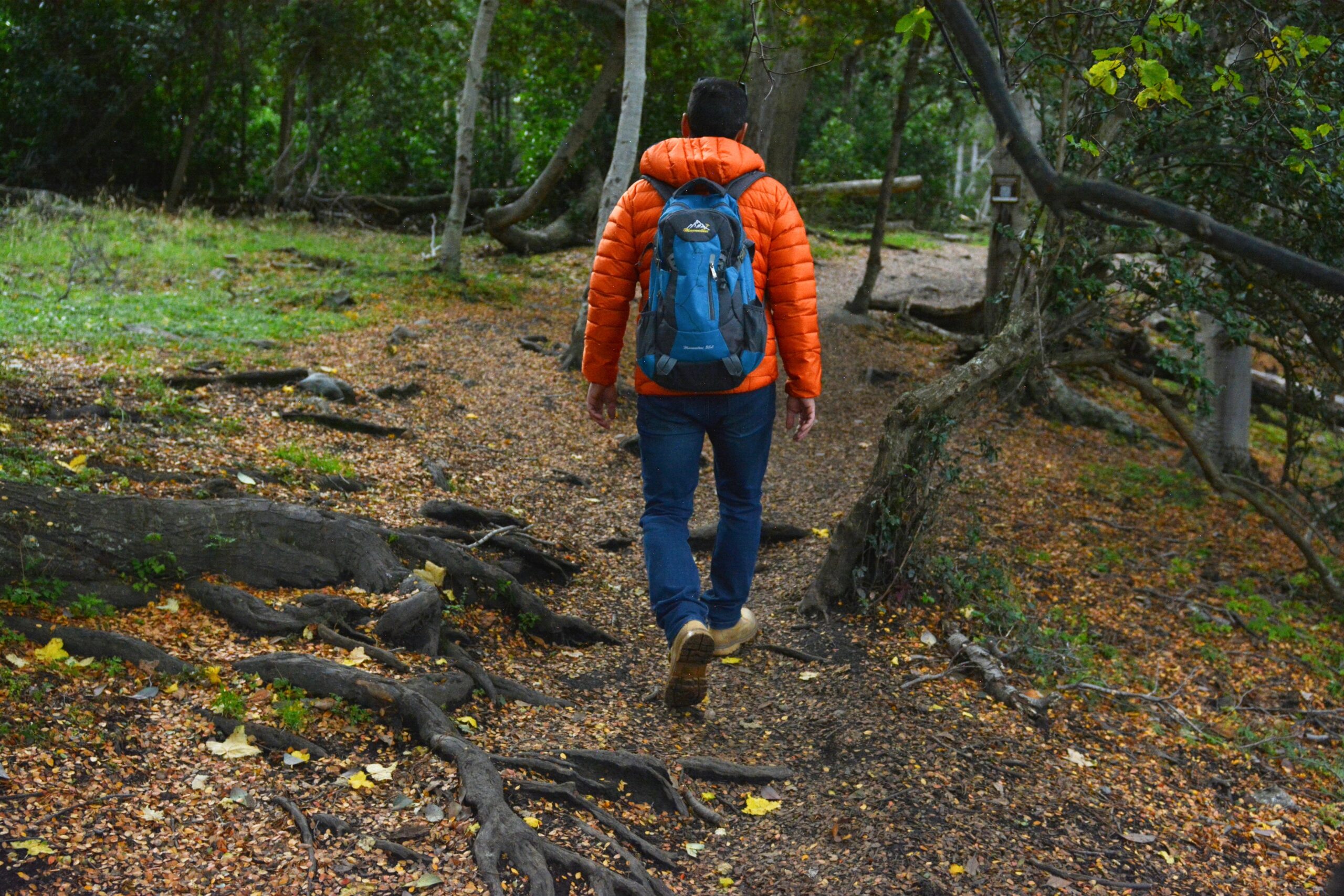 Otoño en Tierra del Fuego