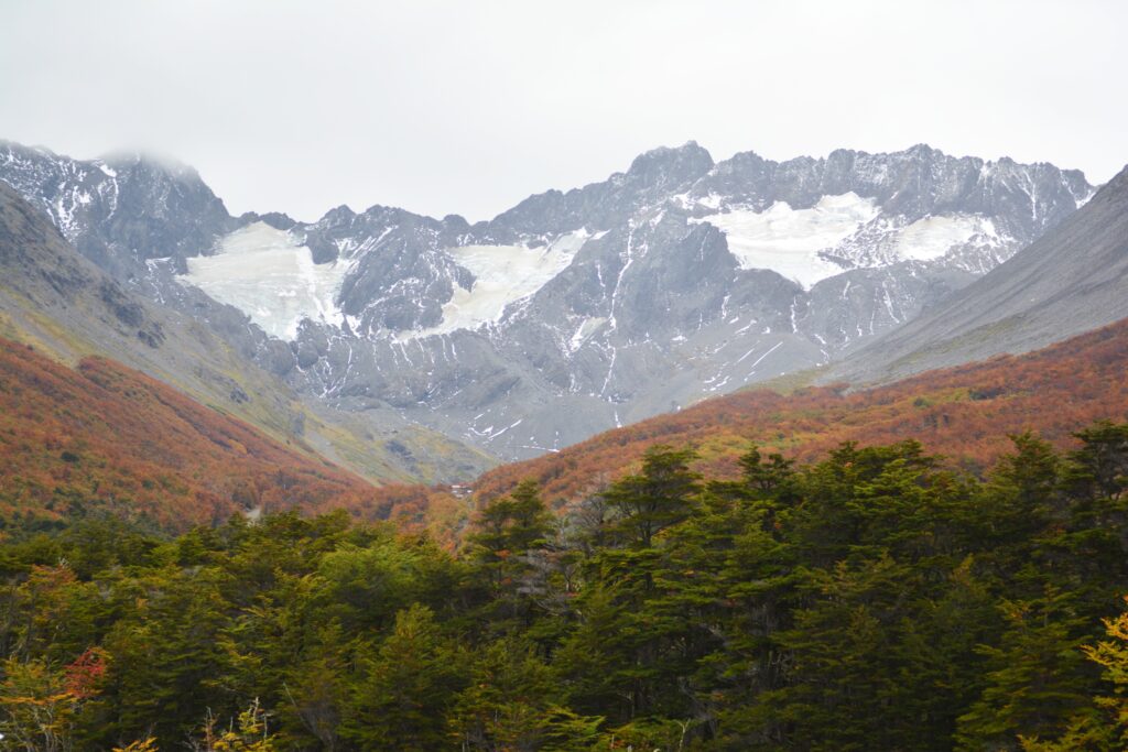 Otoño en Tierra del Fuego