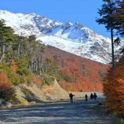 Senderos en Tierra del Fuego: glaciar Martial