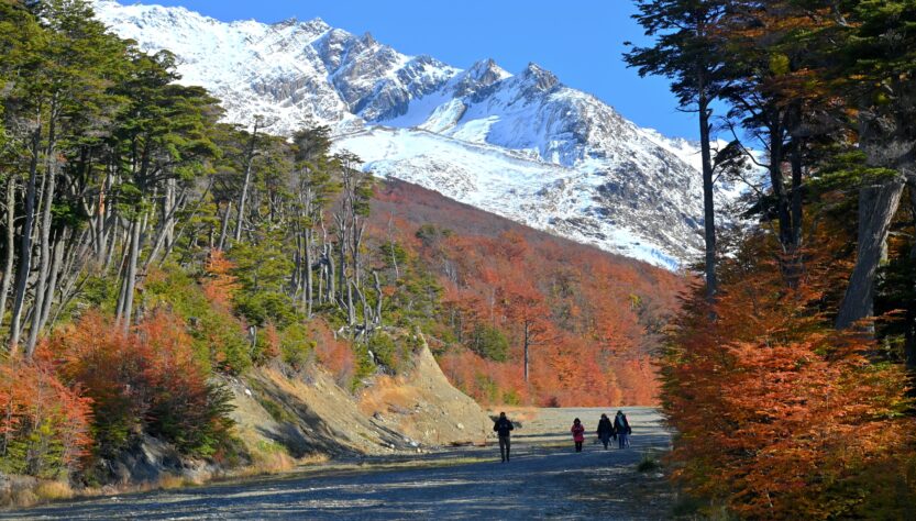 Senderos en Tierra del Fuego: glaciar Martial