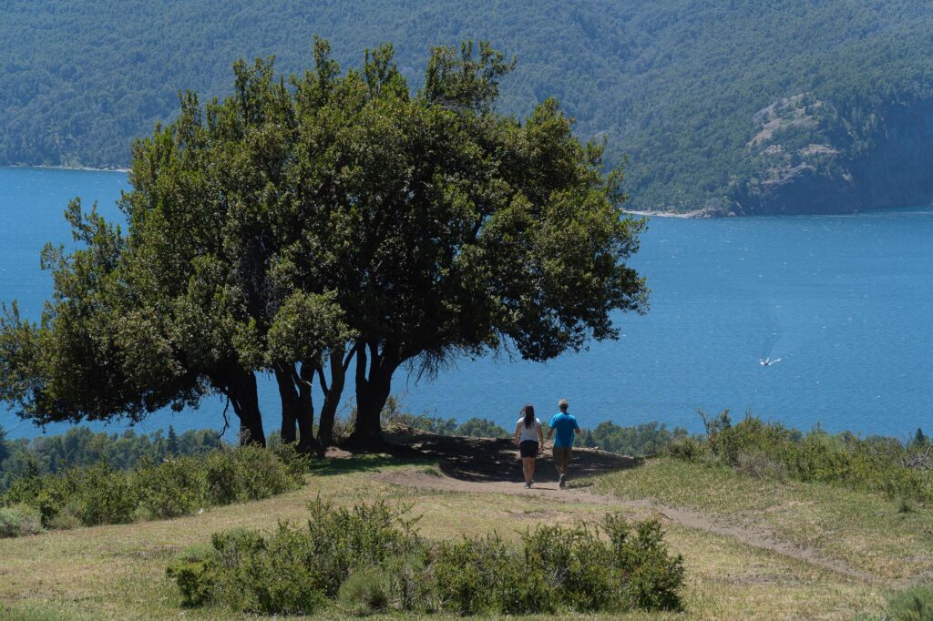 Parques Nacionales: Lanín