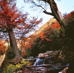 Otoño en Esquel