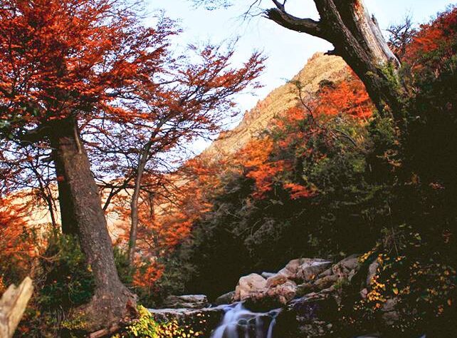 Otoño en Esquel