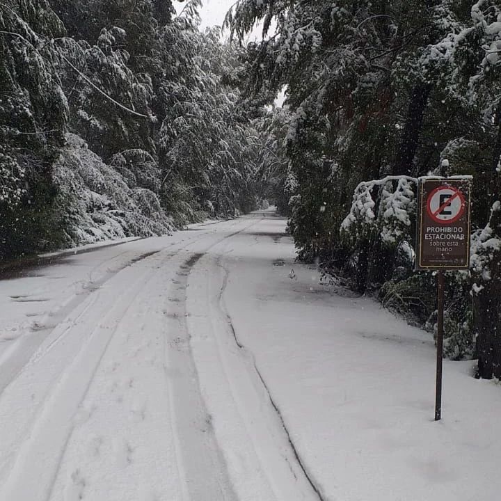 Invierno 2023: tarifas en los Parques Nacionales de la Patagonia Andina