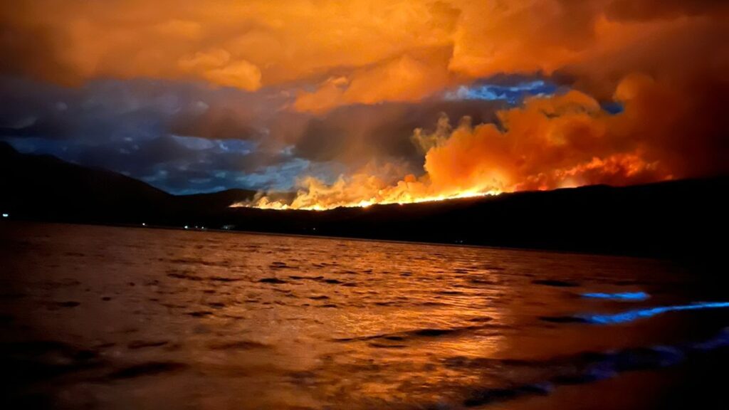 Incendio Parque Nacional Los Alerces