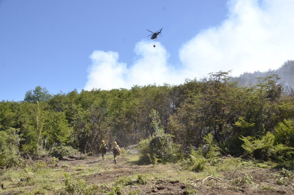 Incendio Parque Nacional Los Alerces